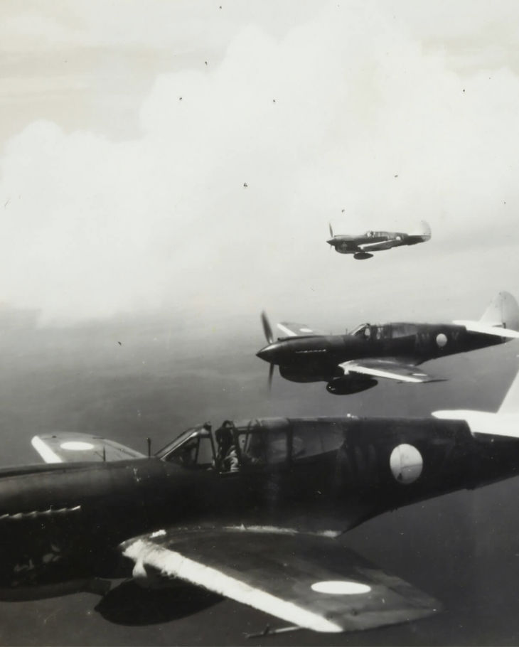 Museums Victoria Oygmigxv030 Unsplash