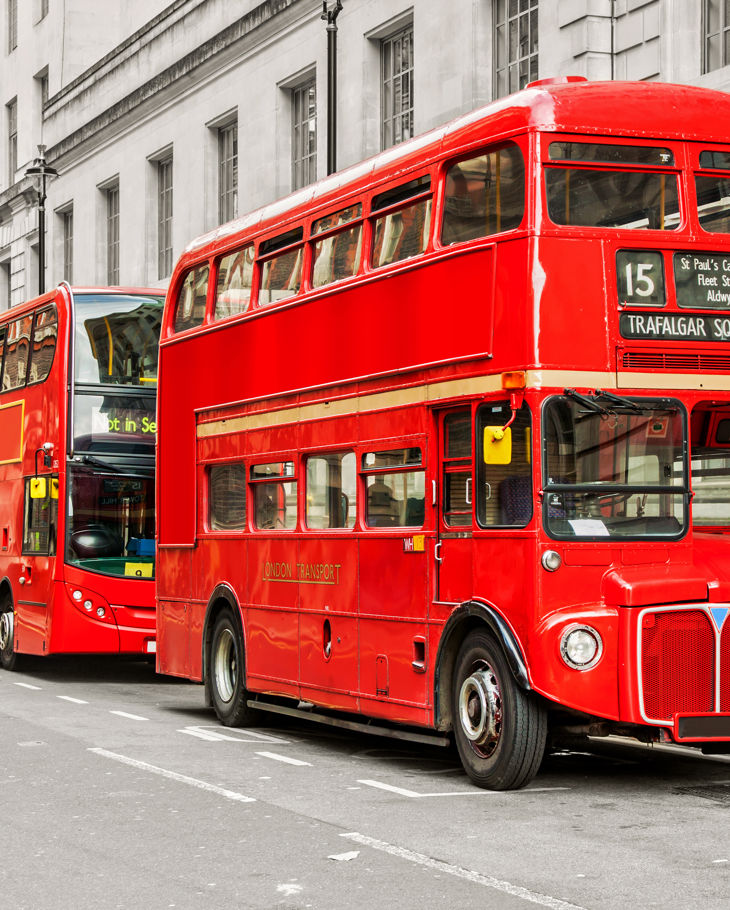 Vintage Buses