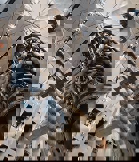 C IWM (SITE LAM 003472) (3)